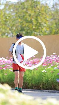 BIB:  <button type="button" onclick="openModal(27584671)" class="btn btn-primary btn-sm float-right" data-toggle="modal" data-target=".modal-high-quality">
                <i class="fa fa-download"></i> Download
                </button>